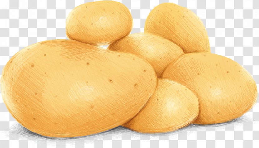Potato Vegetable Illustration - Root - Vector Potatoes Transparent PNG