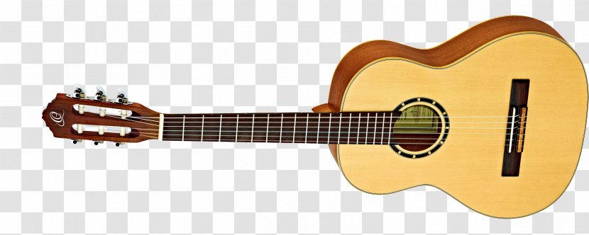Steel-string Acoustic Guitar Fender Musical Instruments Corporation Electric - Tree Transparent PNG