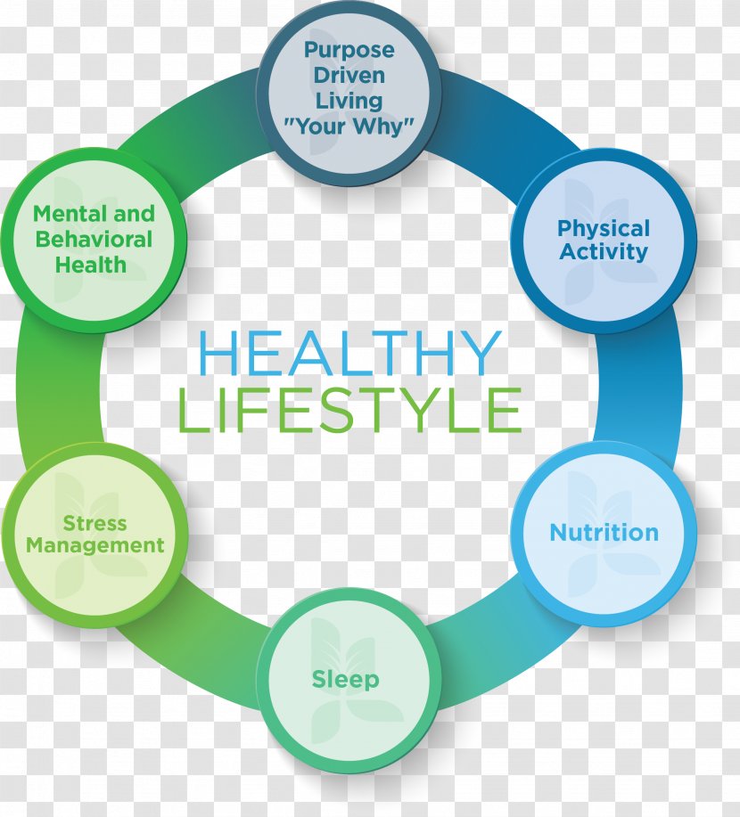Health, Fitness And Wellness Lifestyle Health System Stress Management - Communication Transparent PNG