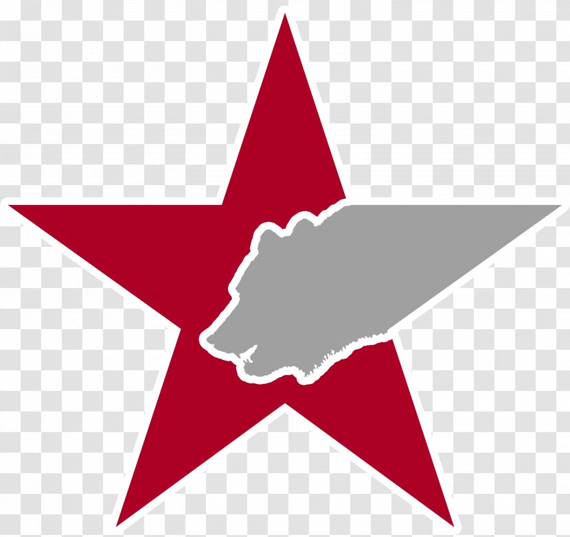 Phoenix Russia Logo My Impact Fitness Organization - Star - Red Transparent PNG
