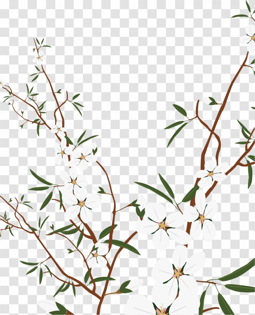 Plum Clip Art - Tree - Snow White Material Transparent PNG