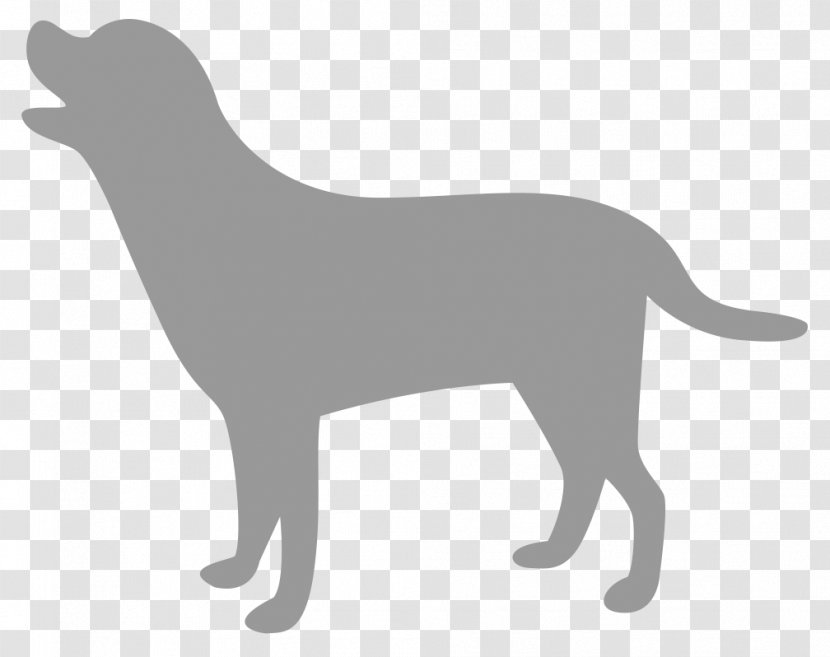 Labrador Retriever Dog Breed Puppy Sporting Group - Cat Like Mammal Transparent PNG