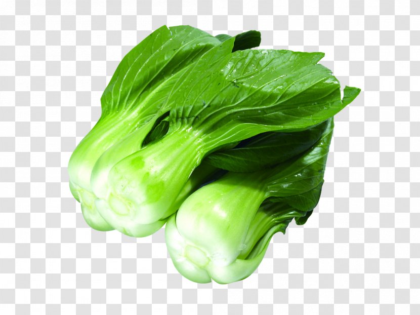 Leaf Vegetable U6cb9u83dc Food Radish - Nutrition - Green Vegetables Canola Transparent PNG