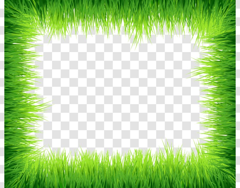 Grass Euclidean Vector Clip Art - Garden - Green Border Frame Photos Transparent PNG