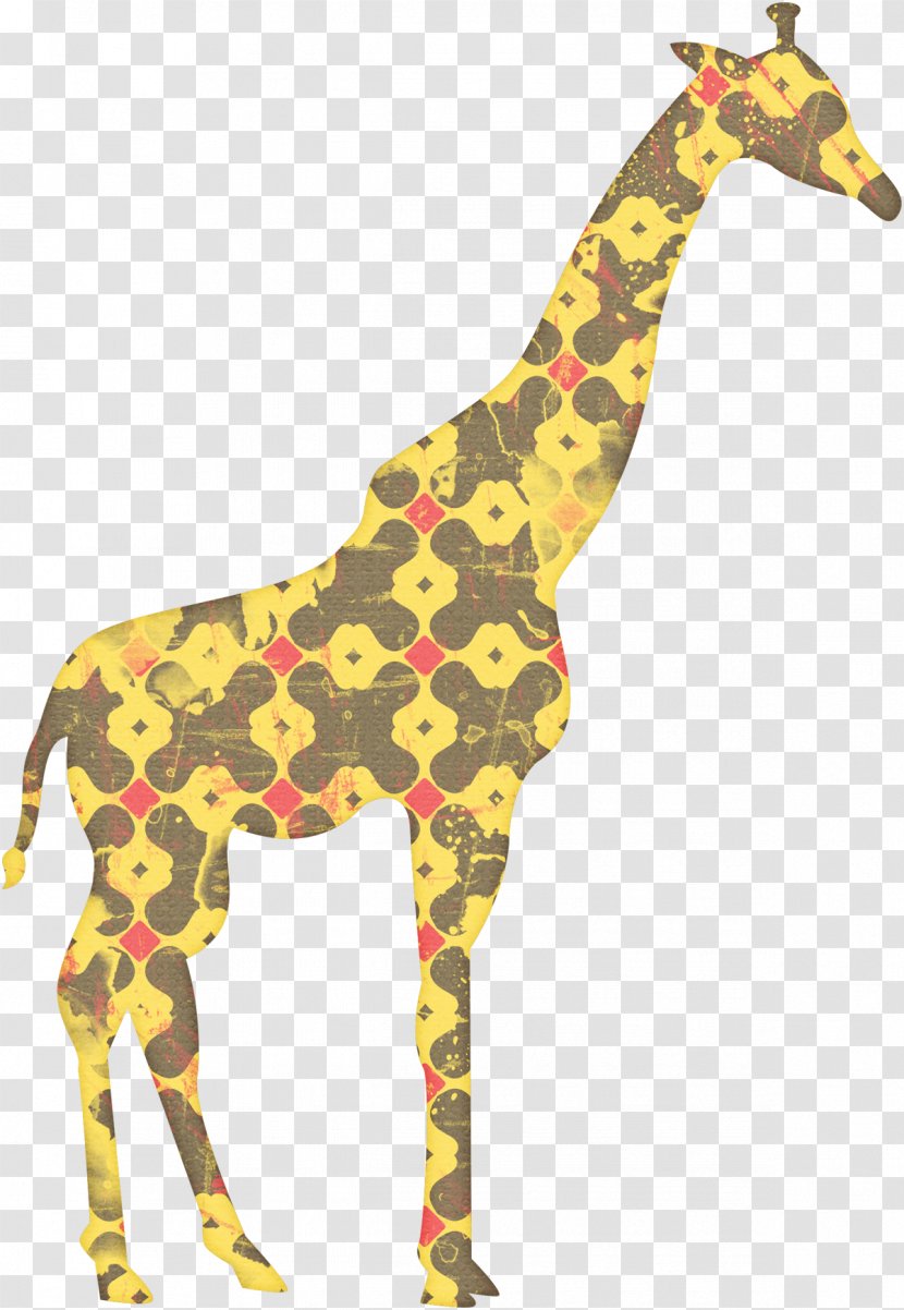 Northern Giraffe Animal Download - Wildlife Transparent PNG