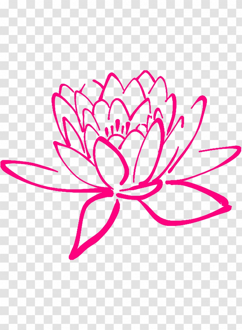 Nelumbo Nucifera Drawing Flower Clip Art Transparent PNG