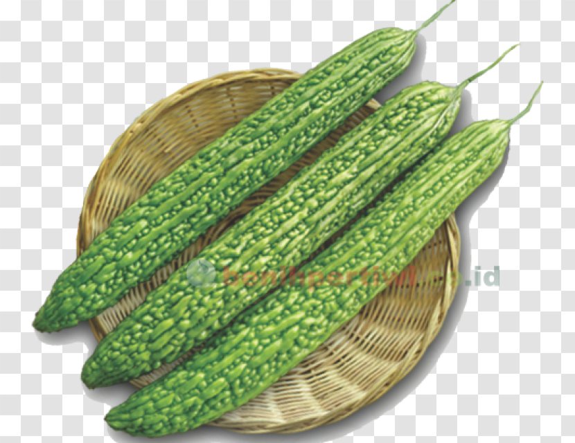 Cucumber Bitter Melon Maize Benih Crop - Food Transparent PNG