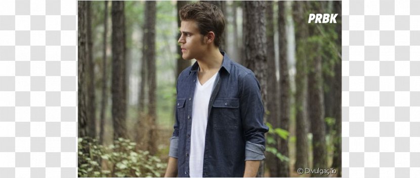 Stefan Salvatore Damon Caroline Forbes The Vampire Diaries - Outerwear - Season 7Paul Wesley Transparent PNG