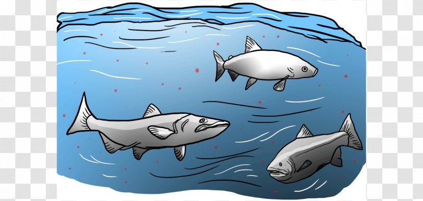 Requiem Sharks Drawing Illustration Image Cartoon - Cretoxyrhina - Animals Pollution Transparent PNG