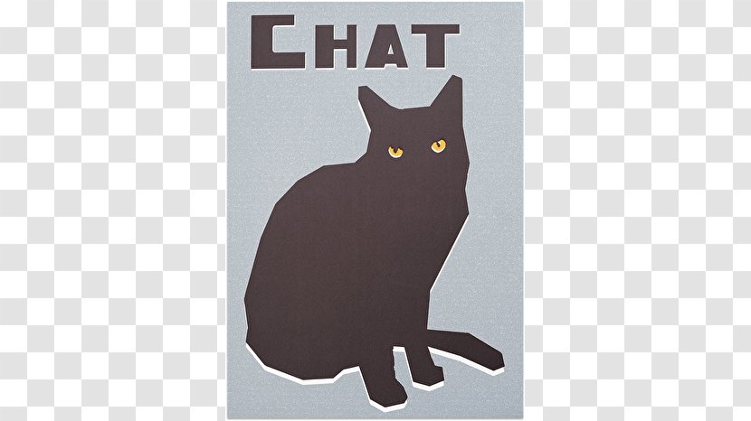 Black Cat Kitten Whiskers Book - Carnivoran - Keep Fit Transparent PNG