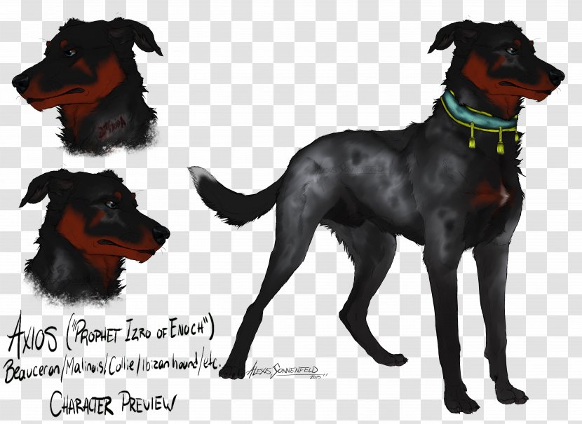 Manchester Terrier Beauceron Dog Breed Razas Nativas Vulnerables - Flinstone Transparent PNG