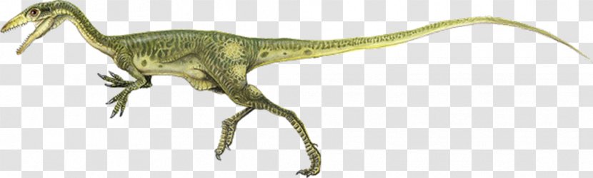 Procompsognathus Brachiosaurus Dinosaur Jurassic Park Transparent PNG