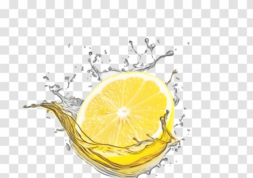 Citrus Lemon Yellow Fruit Liquid - Drink - Lemonlime Lime Transparent PNG