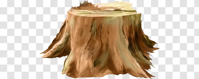 Long Hair Wood /m/083vt Transparent PNG