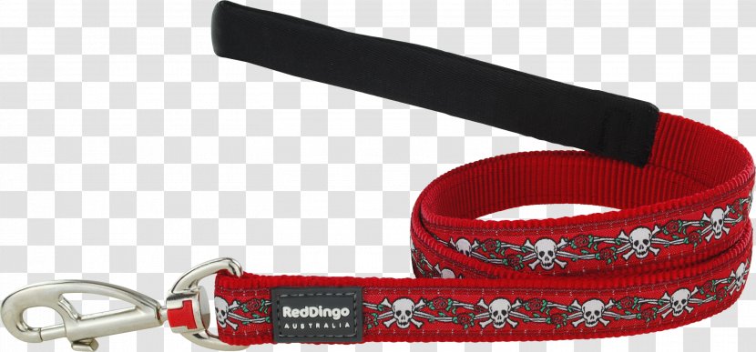 Leash Dog Dingo Collar Lead - Skull Rose Transparent PNG