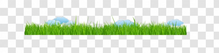Wheatgrass Brand Wallpaper - Green - Grass Transparent PNG