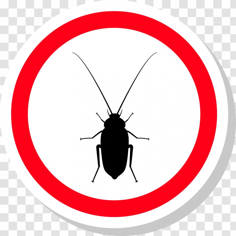 Insect Invertebrate Arthropod Circle Clip Art - Artwork - Cockroach Transparent PNG