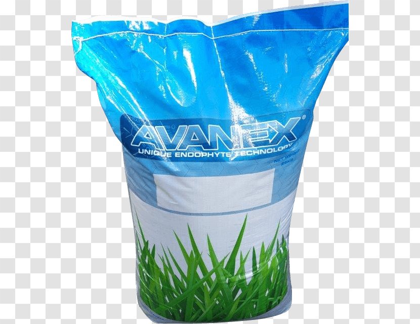 Aircraft Tall Fescue Flowerpot Plastic Water - Endophyte Transparent PNG