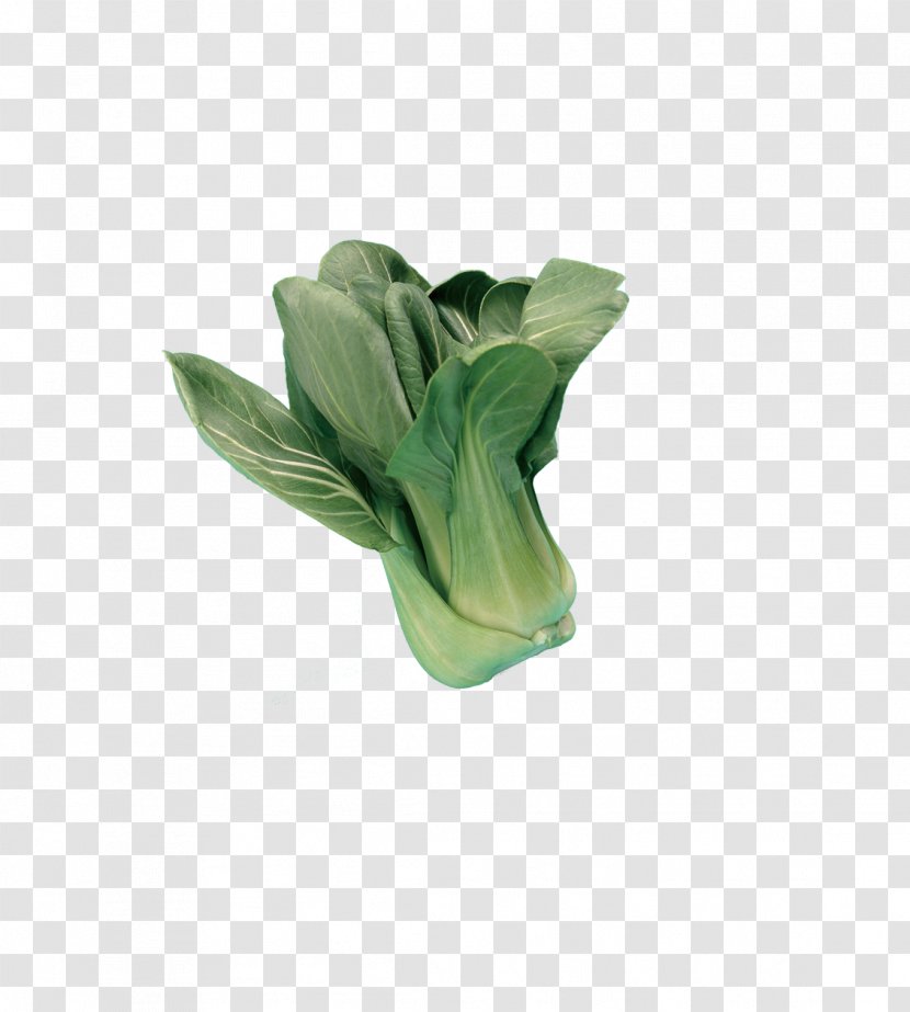 Bok Choy Leaf Vegetable Lettuce - Mineral - Cabbage Transparent PNG