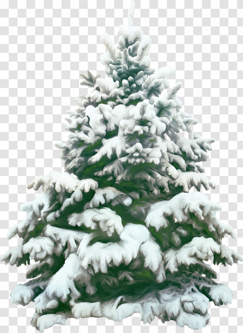 Christmas Tree Pine Clip Art - Snow - Fir-tree Transparent PNG