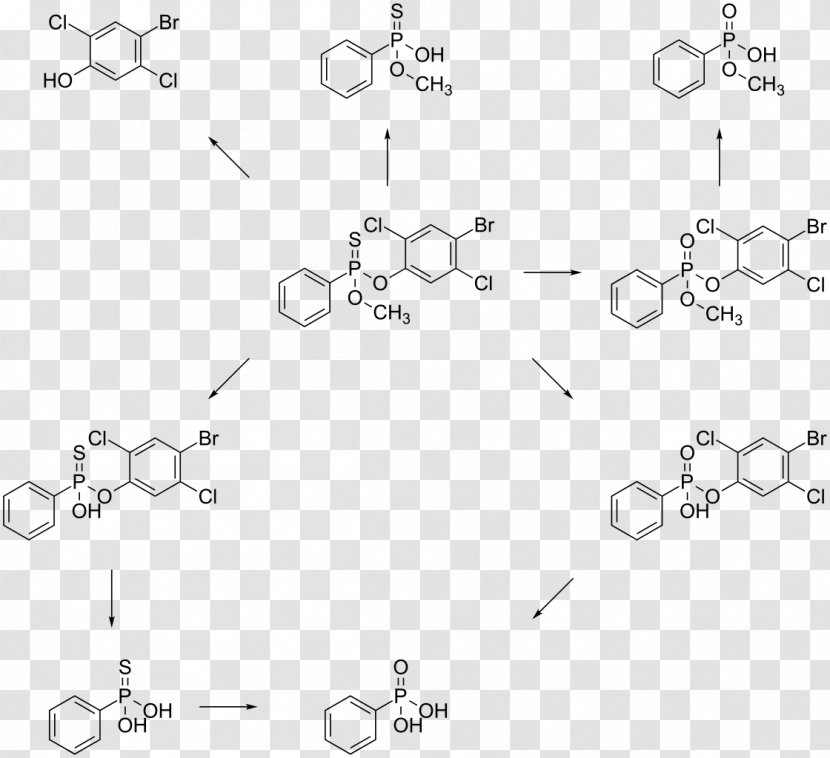 Cinnamaldehyde Cinnamic Acid Anthocyanin Leptophos Pyrylium Salt - Diagram - Metabolism Remixes Transparent PNG