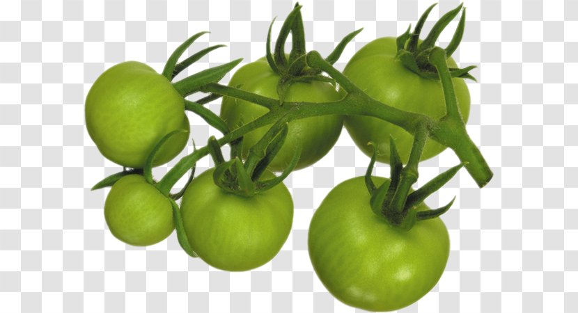 Fried Green Tomatoes Vegetable Marinara Sauce Pumpkin Tomato - Local Food - Tomate Verte Transparent PNG