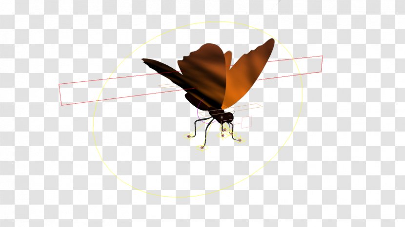 Moth Insect - Arthropod - Parachute Animated Transparent PNG