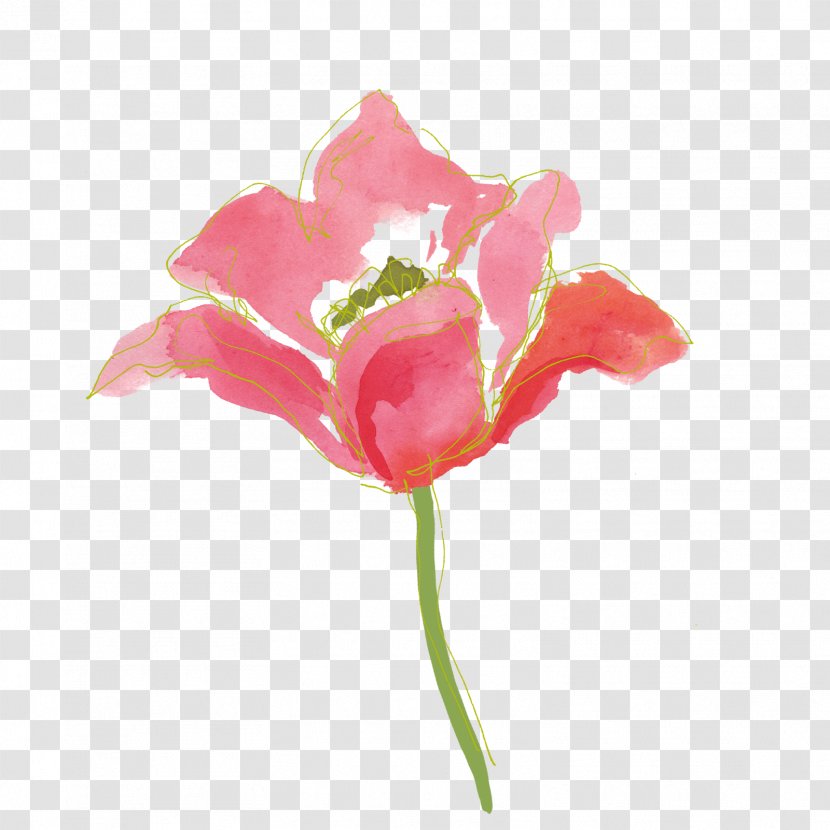 Love Compassion Empathy Understanding Farmers' Market - Watercolor Flower Transparent PNG