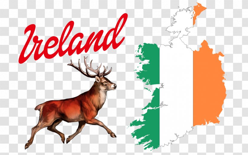 Flag Of Ireland Republic Map Irish England - Wildlife Transparent PNG