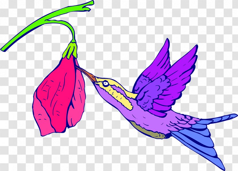 Hummingbird Royalty-free Clip Art - Leaf - Bird Transparent PNG