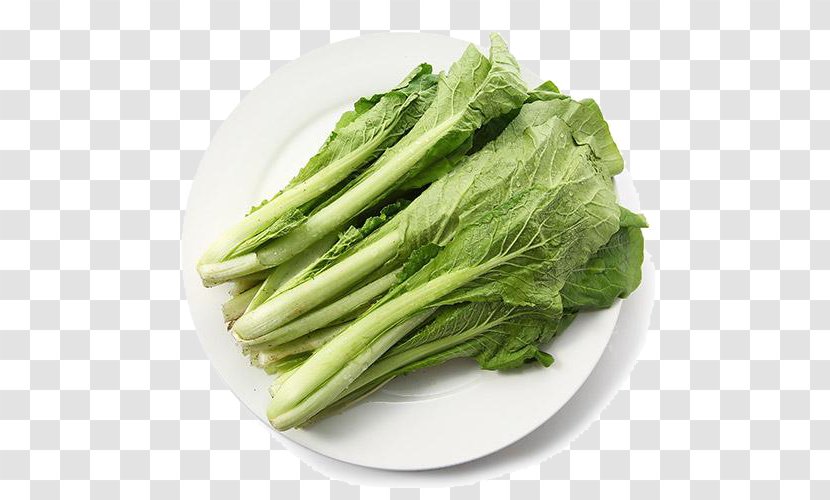 Romaine Lettuce Kale Vegetable Cabbage - Food - A Transparent PNG