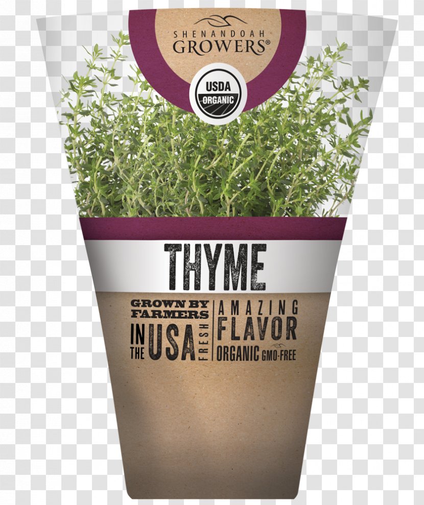Herb Shenandoah Growers Inc. Organic Food Superfood Flavor - Thyme Transparent PNG