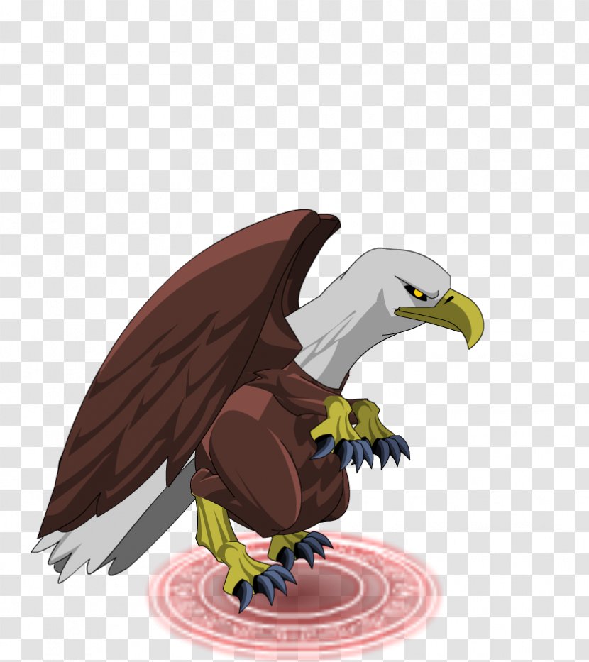 Bald Eagle Hawk Vulture Transparent PNG