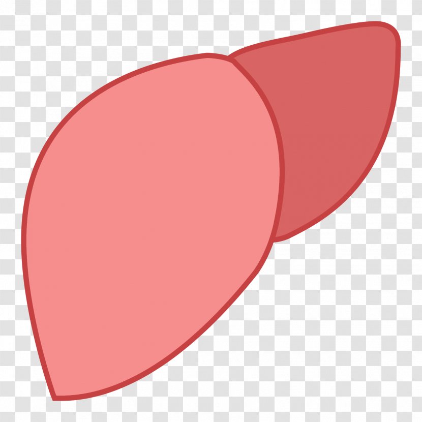 Shape Liver Line Curve - Peach Transparent PNG