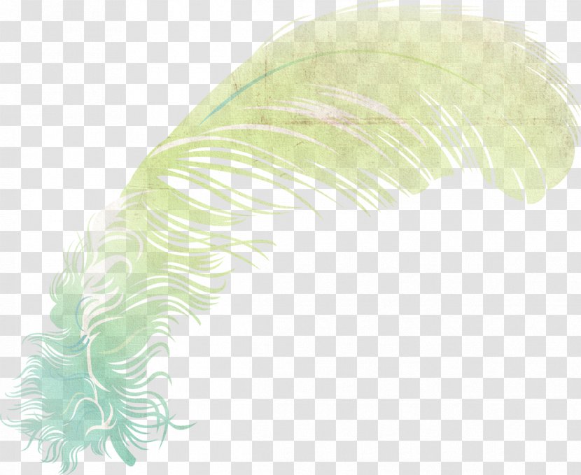 Feather Leaf - Wing Transparent PNG