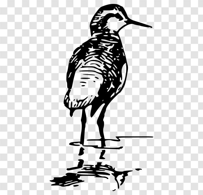 Bird Line Drawing - Heron Crane Transparent PNG