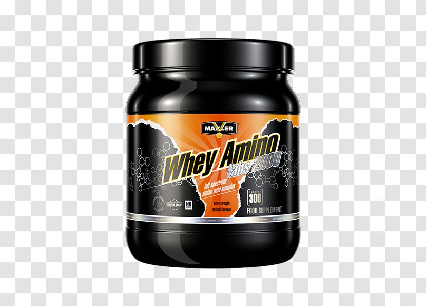 Branched-chain Amino Acid Whey Essential Bodybuilding Supplement - Creatine Transparent PNG