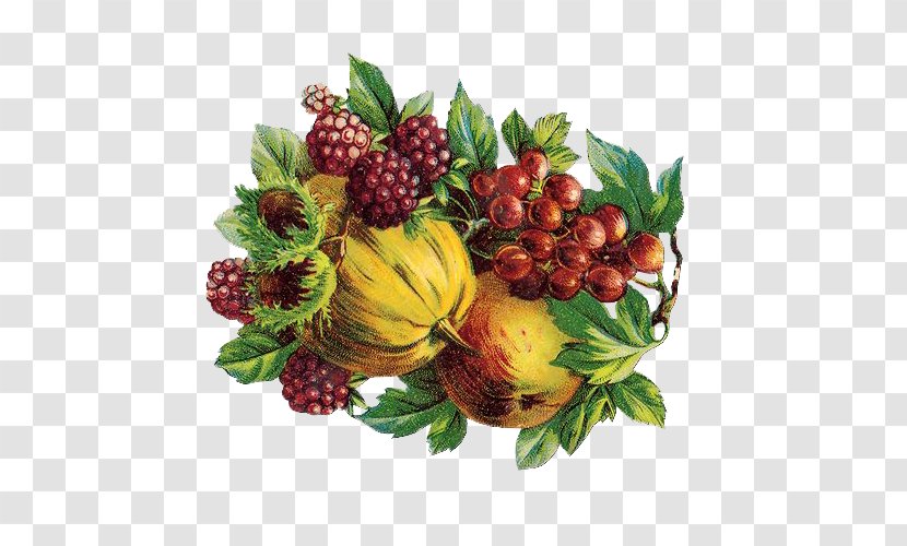 Berry Fruit Auglis Vegetable - Decoupage - Fresh Papaya Mulberry Transparent PNG