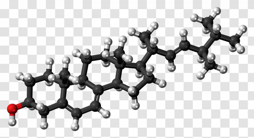 Cholesterol Ball-and-stick Model Stigmasterol Lipid - Black And White - Cell Membrane Transparent PNG