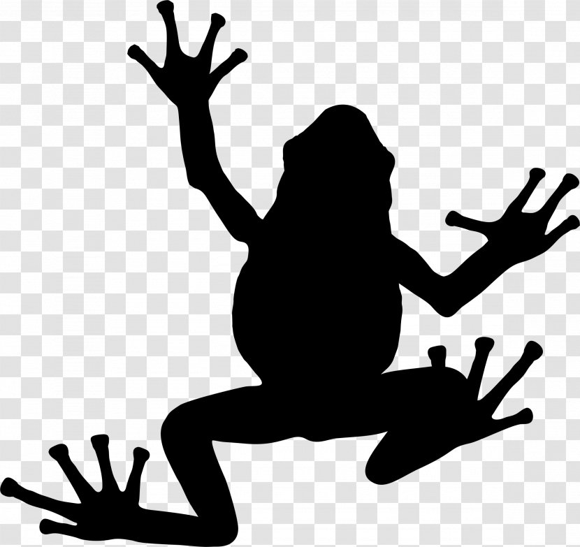 Tree Frog Silhouette Toad - Black Pasture Silhoute Transparent PNG
