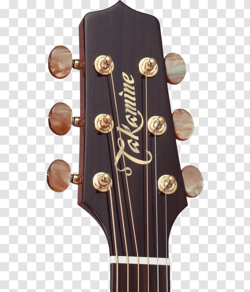 Acoustic Guitar Acoustic-electric Takamine Guitars - Flower Transparent PNG