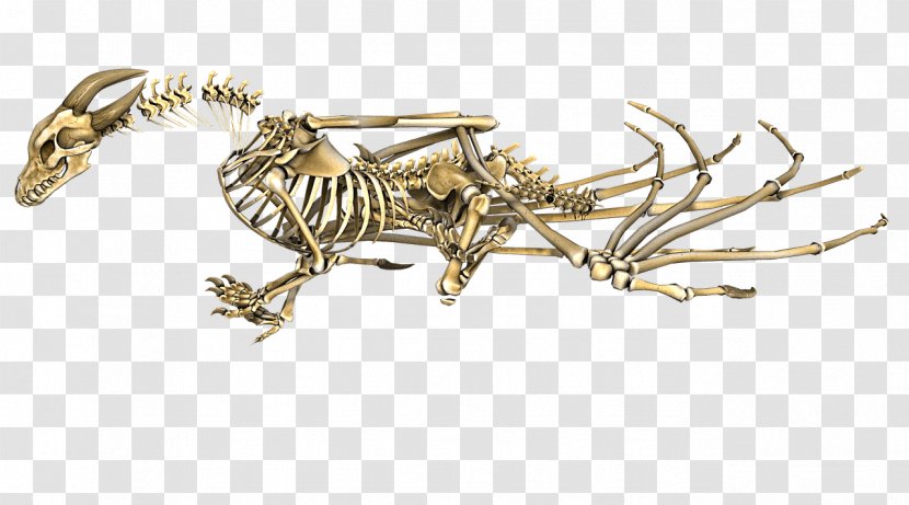 Human Skeleton Dragon Bone - Crypt Transparent PNG