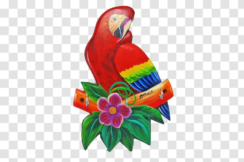 Macaw Loriini Parakeet Beak Feather - Pet Transparent PNG