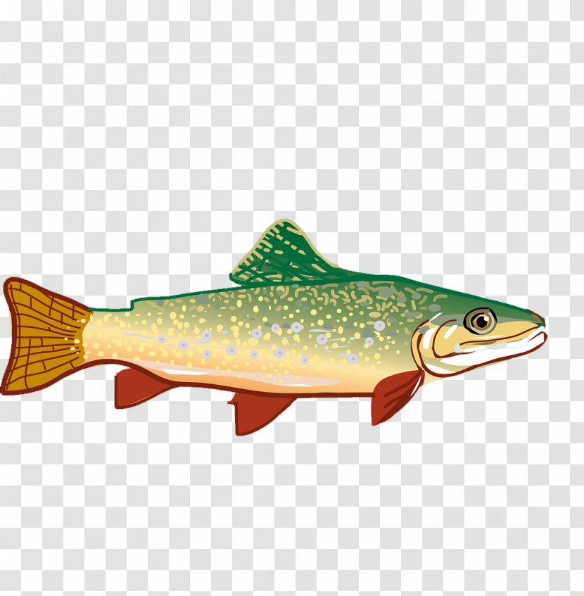 Rainbow Trout Clip Art - Fauna - Hand-painted Small Fish Transparent PNG