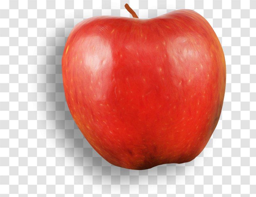 Apple Fruit Red Food - Diet Transparent PNG