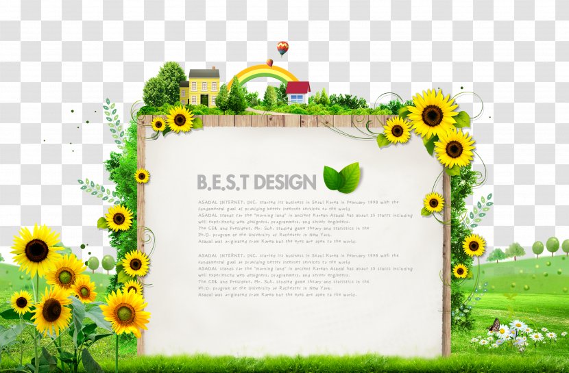 Download Flower - Floral Design - Meadow Sunflower Creative Transparent PNG