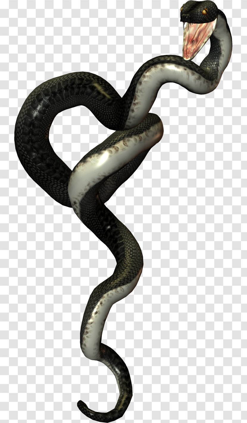 Snake Reptile Vipers Transparent PNG