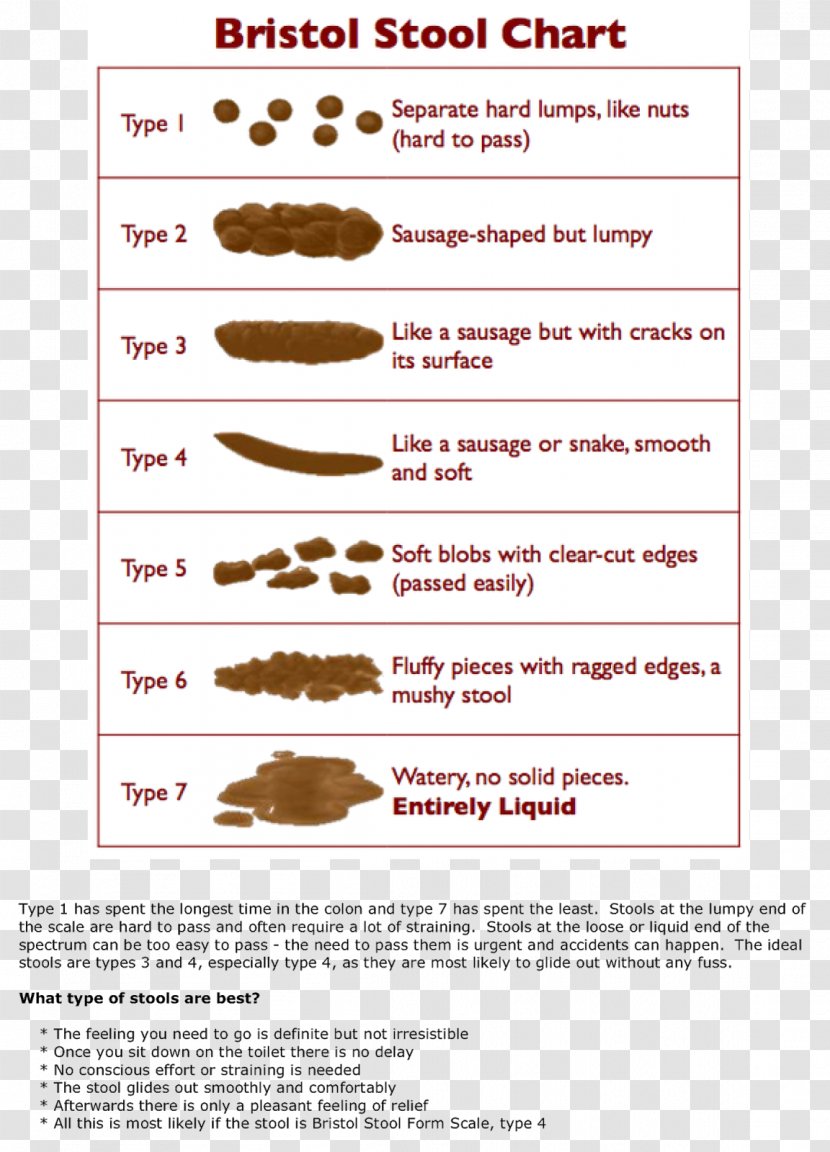 Bristol Stool Scale Human Feces Fecal Incontinence Health Transparent PNG