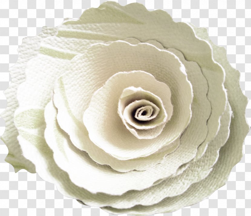 Garden Roses Paper Flower Clip Art - Flower-shaped Biscuits Transparent PNG