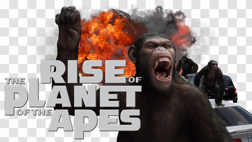 Planet Of The Apes 0 Television Film Transparent PNG